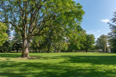 Sonbaharın başlarında Strasbourg 'daki Parc de l' Orangerie 'de. Fransa, Avrupa.