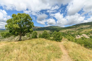 Drome 'daki bir dağın tepesindeki kireç ağacı. Fransa, Provence. Eourres Köyü.