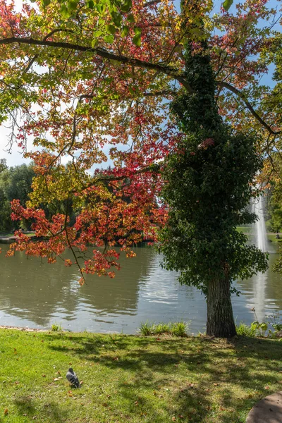 Sonbaharın başlarında Strasbourg 'daki Parc de l' Orangerie 'de. Fransa, Avrupa.
