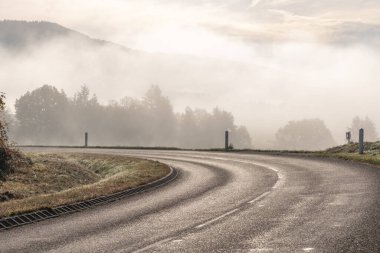 Dağdaki ıslak bir yolda eğil. Vosges, Fransa, Avrupa.