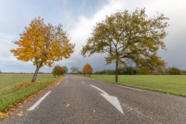 Sonbaharda ağaçlarla kaplı köy yolu. Fransa, Avrupa.