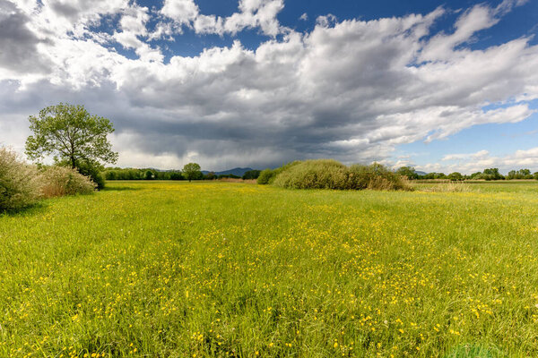 Meadow in spring in variable weather. France, Europe.