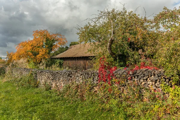 Stapel Hout Bedekt Met Rode Virginia Klimplant Een Oude Boomgaard — Stockfoto