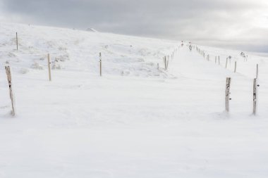 Winters 'daki dağların tepesinde kar fırtınası. Vosges, Fransa, Avrupa.