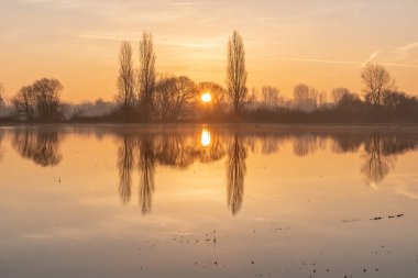 Sunrise above the floods with the symmetrical reflection of a tree. France, Europe.