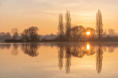 Sunrise above the floods with the symmetrical reflection of a tree. France, Europe.