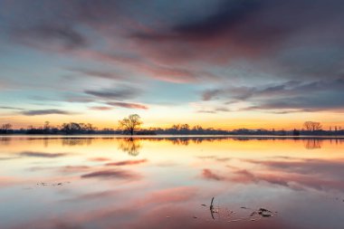 Sunrise over a flooded meadow in winter. Reflection of orange and pink clouds in calm water. France, Europe.