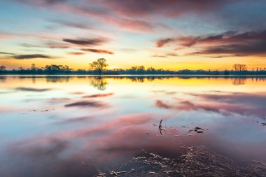 Sunrise over a flooded meadow in winter. Reflection of orange and pink clouds in calm water. France, Europe.