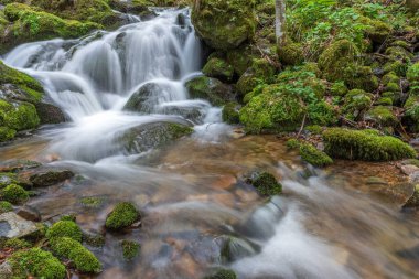 Waterfall on a mountain stream in spring. Vosges, France, Europe.