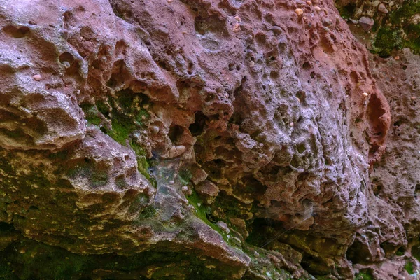 Sandstone Rock Northern Vosges Regional Natural Park Alsace France Europe — Photo