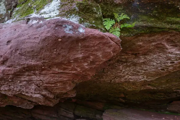 Sandstone Rock Northern Vosges Regional Natural Park Alsace France Europe — Stockfoto