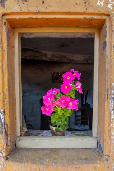 Window Decorative Flower Pot Maison Des Rochers Hamlet Graufthal Tourist — стоковое фото