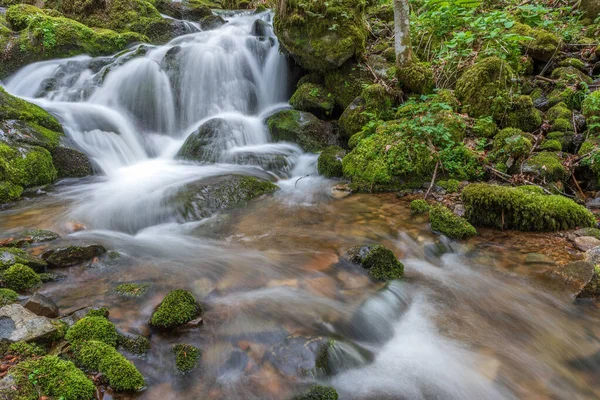 Waterfall Mountain Stream Spring Vosges France Europe — Stock fotografie