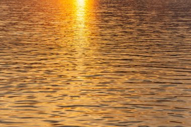 Günbatımında Almanya ve Fransa arasındaki Ren Nehri 'nin su yüzeyi. Fransa.