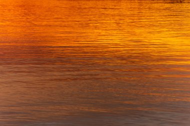 Günbatımında Almanya ve Fransa arasındaki Ren Nehri 'nin su yüzeyi. Fransa.