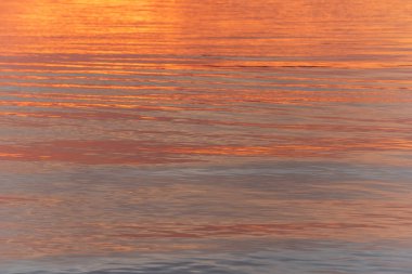 Günbatımında Almanya ve Fransa arasındaki Ren Nehri 'nin su yüzeyi. Fransa.