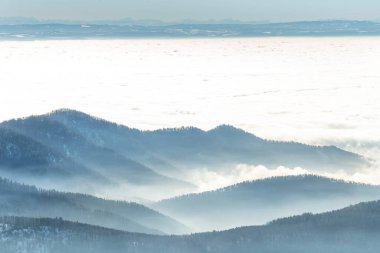 Kışın sis denizinin üzerindeki sisin içindeki dağların silueti. Güney Vosges. Fransa.