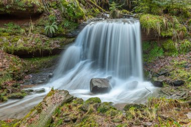 Kışın vahşi ve ıssız bir vadide güzel, taze bir dağ şelalesi. Fransa.