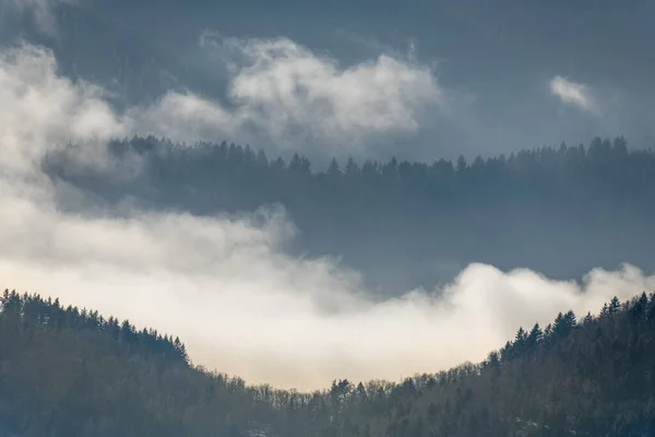 Kışın sis denizinin üzerindeki sisin içindeki dağların silueti. Güney Vosges. Fransa.