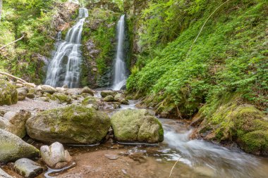 İlkbaharda vahşi ve ıssız bir vadide güzel, taze bir dağ şelalesi. Fransa.