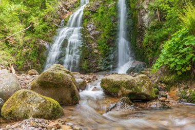 İlkbaharda vahşi ve ıssız bir vadide güzel, taze bir dağ şelalesi. Fransa.