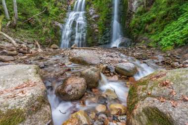 Heidenbad şelalesi, Vosges dağlarında şelale. Fransa.