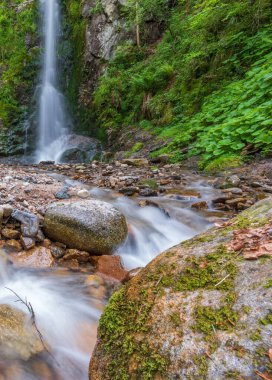 Heidenbad şelalesi, Vosges dağlarında şelale. Fransa.