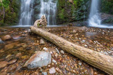 Heidenbad şelalesi, Vosges dağlarında şelale. Fransa.