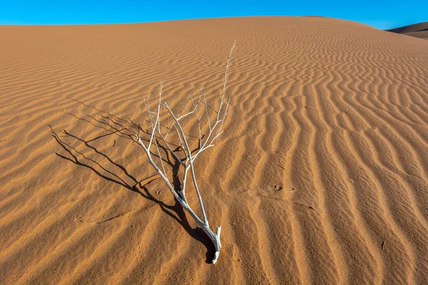 Erg Chebbi Písečná Poušť Merzouga Jihovýchodně Maroka Oblíbená Destinace Pro — Stock fotografie