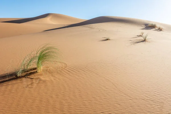 Erg Chebbi Merzouga Nın Kum Çölü Fas Güneydoğusu Gezginler Için — Stok fotoğraf