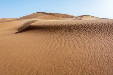 Erg Chebbi, Merzouga 'nın kum çölü, Fas' ın güneydoğusu. Gezginler için popüler bir hedef. Fas.