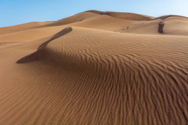 Erg Chebbi, Merzouga 'nın kum çölü, Fas' ın güneydoğusu. Gezginler için popüler bir hedef. Fas.