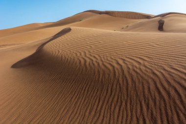 Erg Chebbi, Merzouga 'nın kum çölü, Fas' ın güneydoğusu. Gezginler için popüler bir hedef. Fas.