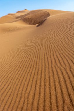 Erg Chebbi, Merzouga 'nın kum çölü, Fas' ın güneydoğusu. Gezginler için popüler bir hedef. Fas.