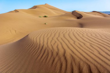 Erg Chebbi, Merzouga 'nın kum çölü, Fas' ın güneydoğusu. Gezginler için popüler bir hedef. Fas.