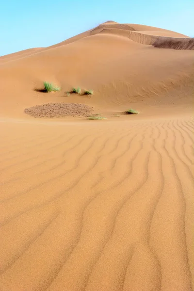 Erg Chebbi Merzouga Nın Kum Çölü Fas Güneydoğusu Gezginler Için — Stok fotoğraf