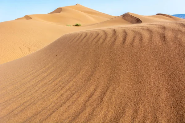 Erg Chebbi Merzouga Nın Kum Çölü Fas Güneydoğusu Gezginler Için — Stok fotoğraf