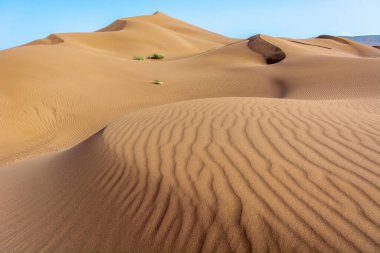 Erg Chebbi, Merzouga 'nın kum tepeleri, gezginler için gidilecek yer..
