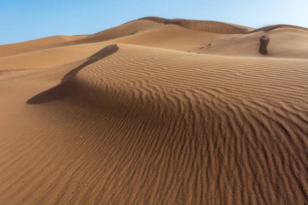 Erg Chebbi Merzouga沙漠中的沙丘 旅行者的目的地 — 图库照片