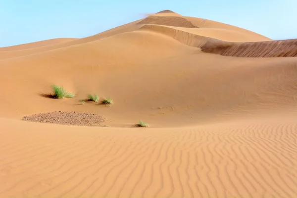 エルグ チェビ メルツーガの砂漠の砂丘 旅行者のための目的地 — ストック写真