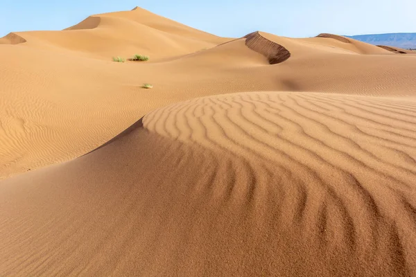 Erg Chebbi Merzouga沙漠中的沙丘 旅行者的目的地 — 图库照片