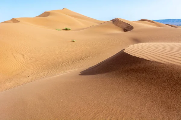 Erg Chebbi Merzouga Nın Kum Tepeleri Gezginler Için Gidilecek Yer — Stok fotoğraf