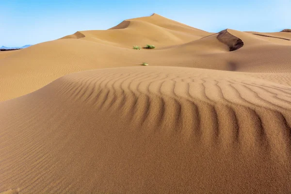 Ерг Чеббі Дюни Піщаної Пустелі Мерзуги Місце Мандрівників — стокове фото