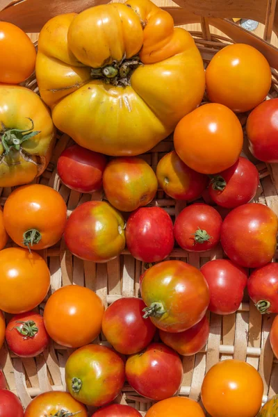 Cesta Tomates Reliquia Para Venta Mercado País — Foto de Stock