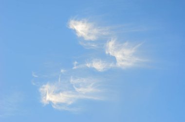 Güneşli bir günde mavi gökyüzünde Cirrus bulutlar.