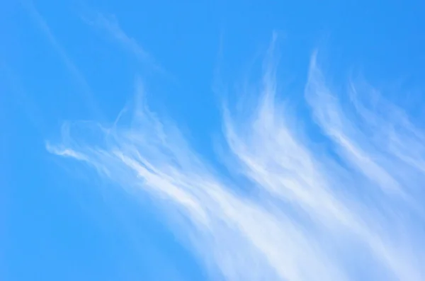 Cirrus Moln Den Blå Himlen Solig Dag — Stockfoto