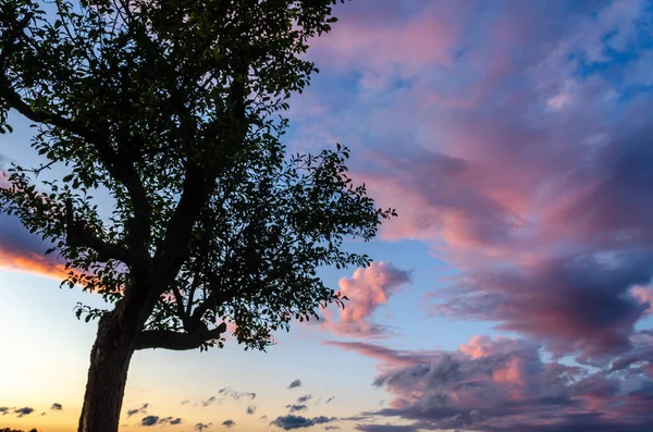 Glühender Himmel Der Abenddämmerung Einem Sommerabend Über Einer Wiese Banner — Stockfoto