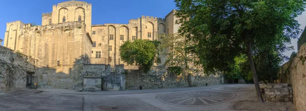 Palazzo Dei Papi Visto Indietro Avignone Provenza Francia Panorama — Foto Stock