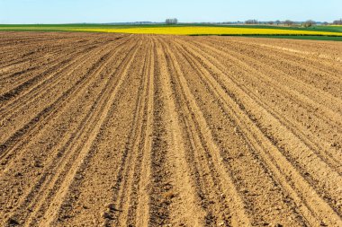 Fransız kırsalında ilkbaharın başlarında ekilen tarlalar .
