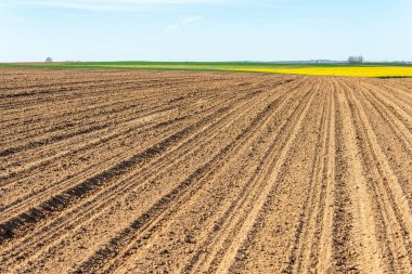 Fransız kırsalında ilkbaharın başlarında ekilen tarlalar .
